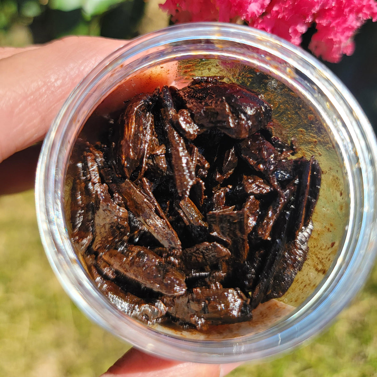 Oudh Bahraini Bakhoor – Handmade Omani-Style Incense | Dehn al Oudh & Sweet Amber | Arabian Home Fragrance