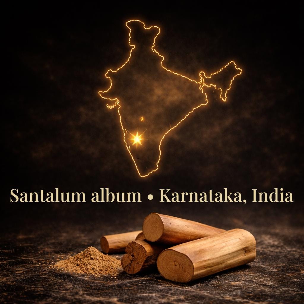 Pure Mysore Sandalwood Oil – 100% Santalum album | Aged Since 2022 | Lab Tested with COA