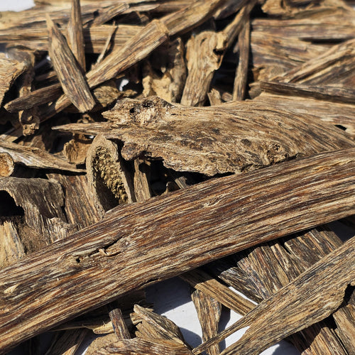 Assam Jura Oud Chips – Grade A, Final Batch | Wild Hindi Agarwood Chips | Earthy Traditional Indian Oud Incense