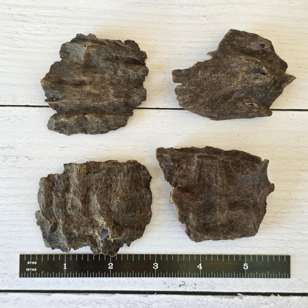 Char Oud Chips – Double/Triple Super Grade | Nha Trang Vietnamese Agarwood | Collector Grade High Resin Oud Wood Incense