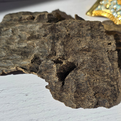 Char Oud Chips – Double/Triple Super Grade | Nha Trang Vietnamese Agarwood | Collector Grade High Resin Oud Wood Incense