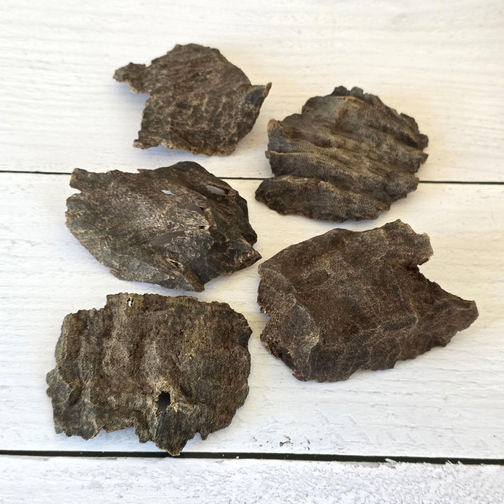 Char Oud Chips – Double/Triple Super Grade | Nha Trang Vietnamese Agarwood | Collector Grade High Resin Oud Wood Incense