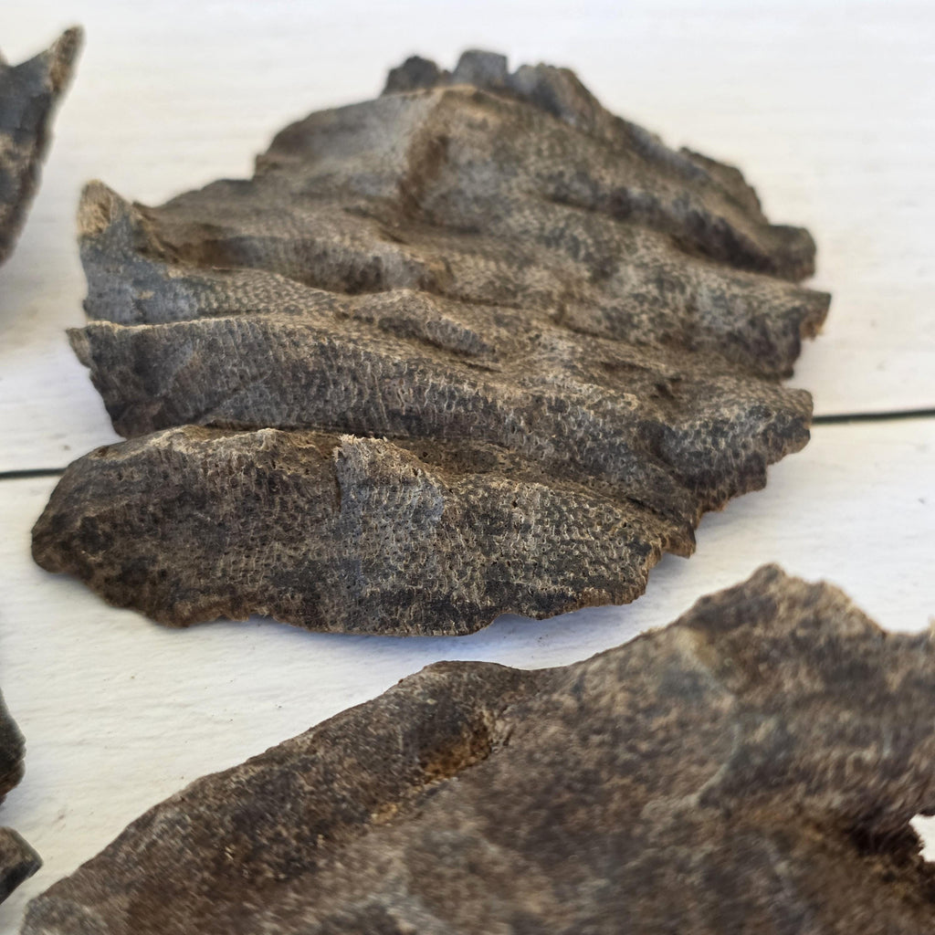 Char Oud Chips – Double/Triple Super Grade | Nha Trang Vietnamese Agarwood | Collector Grade High Resin Oud Wood Incense
