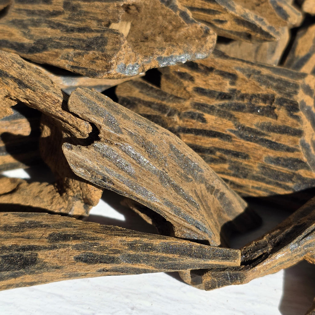 Ant Wood Enhanced Muhassan Oud Chips – Vietnamese Agarwood Infused with Vietnamese Oud Oil and Resin | Deep, Rich & Sweet