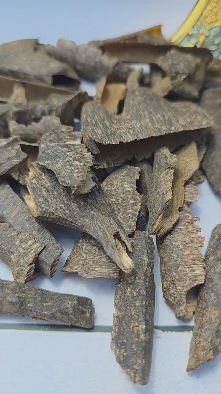 Gurmit Oud Chips – Wild Hindi Agarwood from Assam & Nagaland